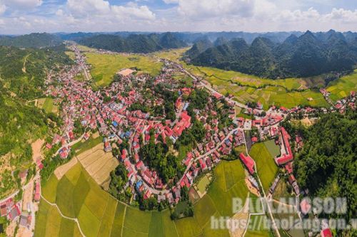 Mùa lúa chín ở Bình Gia