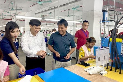 Liên minh Hợp tác xã tỉnh - Đồng hành cùng Hợp tác xã