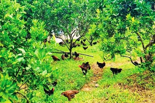 Cần xem lại sức cạnh tranh