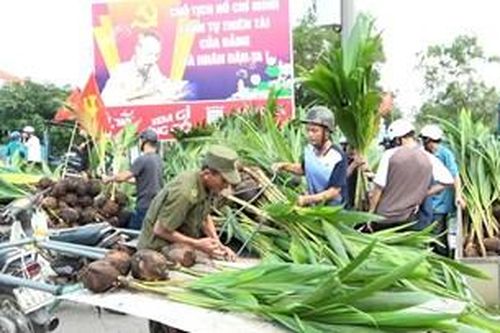 Trao tặng 10.000 cây dừa để khôi phục lại làng dừa truyền thống