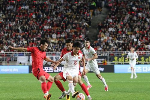 V.League 2023/2024 và hiệu ứng từ HLV Troussier