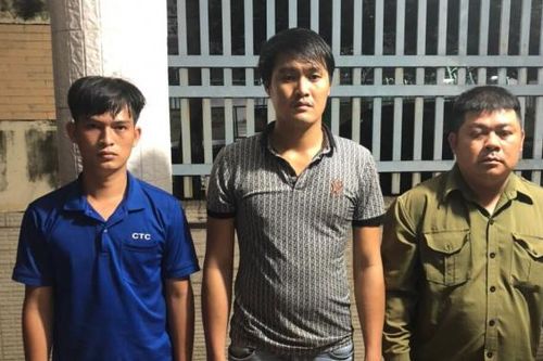 Nhóm 'dơi đêm' trộm cây mai vàng trị giá gần 150 triệu đồng
