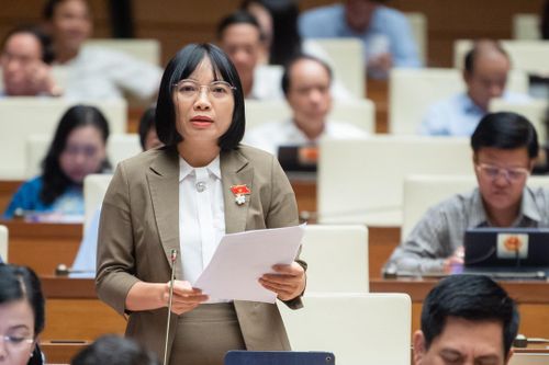 ĐBQH: Lấy mục tiêu giải ngân là đích đến sẽ dẫn tới sai phạm, gây lãng phí nguồn lực