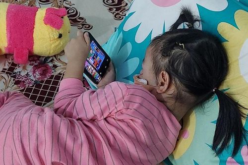 Bé gái 3 tuổi bị 2 con chó becgie cắn gây thương tích nặng