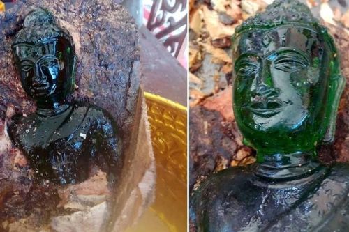Tìm thấy tượng Phật ngọc hơn 100 tuổi bên trong thân cây