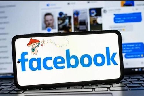 Chèn nhạc vào tiểu sử Facebook cực đơn giản, vô cùng độc đáo