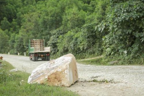 Tuyến đường 532 xuống cấp nghiêm trọng, người dân 'ngán ngẩm' khi đi qua