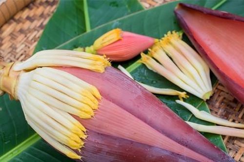 Loại hoa dân dã ăn ngon, nhiều công dụng