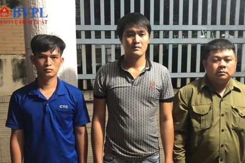 Nhóm 'dơi đêm' trộm cây mai vàng quý giá