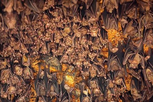 5 điểm đến đáng sợ ở Châu Á cho dịp Halloween