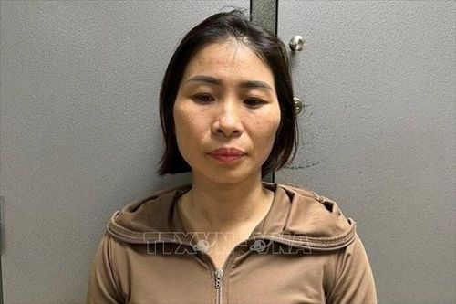 Điều tra, làm rõ các vụ việc nghiêm trọng