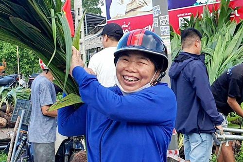 Nông dân phấn khởi nhận 10.000 cây dừa trồng phủ xanh vùng đất cát