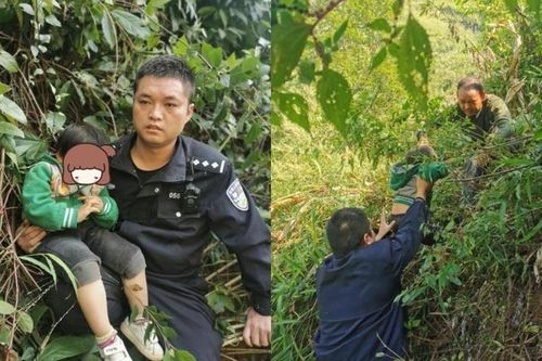 Giải cứu bé gái 3 tuổi bị khỉ bắt cóc: Cảnh sát tìm thấy đứa trẻ nhờ tiếng gọi của người mẹ
