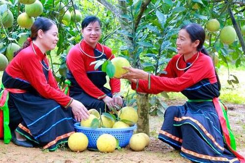 Nhân rộng gương điển hình tiên tiến làm kinh tế giỏi trong hội viên, phụ nữ dân tộc thiểu số