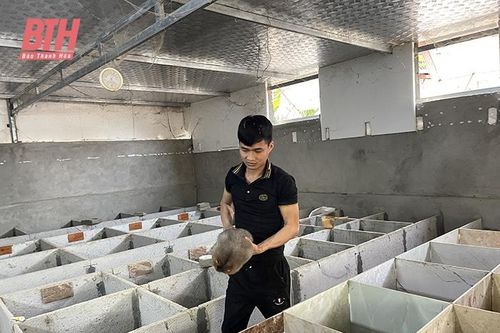 Xây dựng các mô hình sản xuất nông nghiệp khu vực miền núi