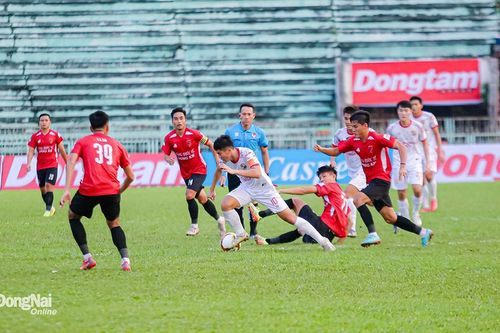 Đồng Nai FC: Nho vẫn còn xanh