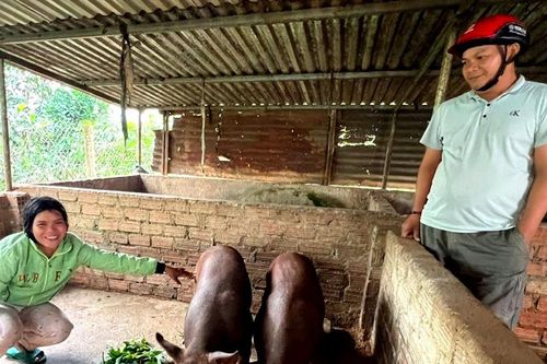 Gia Lai nhân rộng các mô hình giảm nghèo