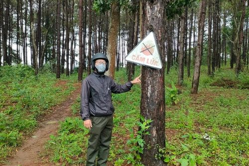 Nguyên đơn tố giác nguyên thẩm phán Võ Đình Sớm nhận hối lộ bị thua kiện