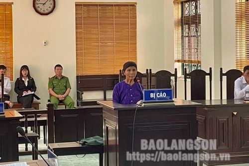 Phá nhổ gần 3.000 cây ngô nhà người khác, lĩnh án 6 tháng tù giam