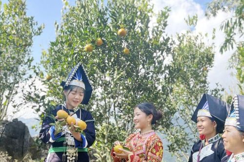 Nhân rộng mô hình sản xuất nông nghiệp hữu cơ