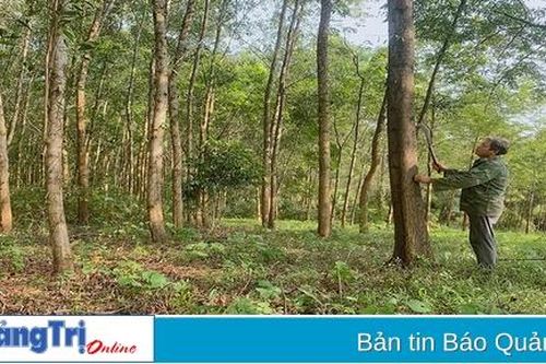 Người cao tuổi thi đua làm kinh tế giỏi
