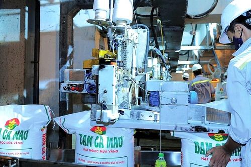 Dự báo lãi ròng quý 4/2023 của Đạm Cà Mau (DCM) sẽ bật tăng mạnh