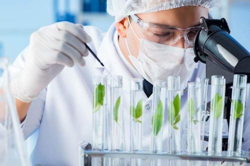 Top 5 Trường đại học có ngành công nghệ sinh học tốt nhất