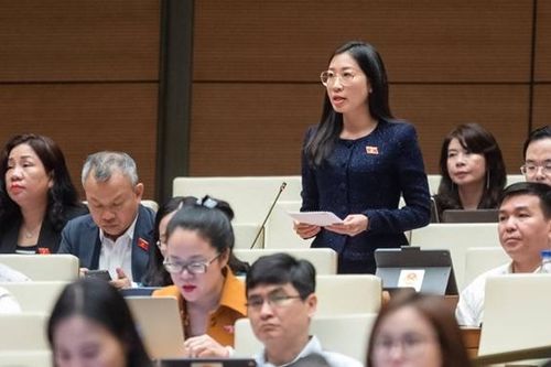 Chính phủ xác định mục tiêu, cách thức thực hiện giao cho địa phương