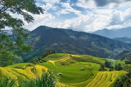 Bộ Tài nguyên và Môi trường công bố kết quả thống kê diện tích đất đai cả nước