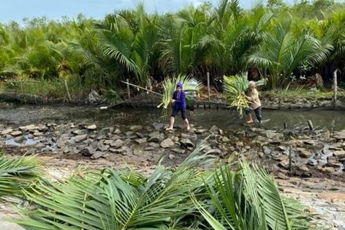 Khai thác hiệu quả lợi thế vùng đầm phá Tam Giang - Cầu Hai