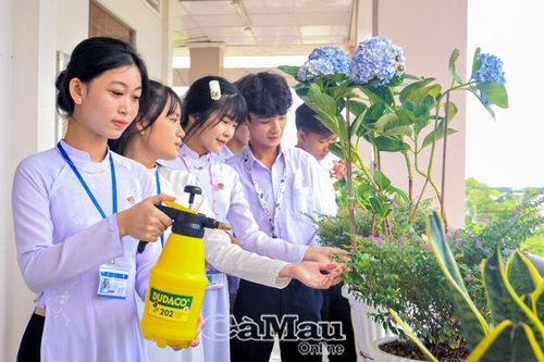 Phủ xanh học đường