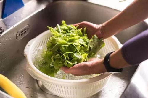 Có nên cắt nhỏ rau trước khi rửa?