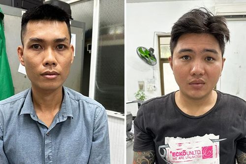 Khởi tố 2 thanh niên trộm chó bị ô tô tông ở TP.HCM