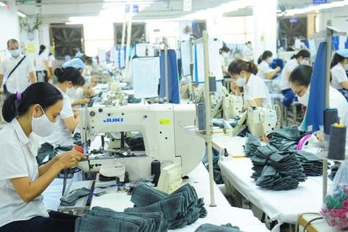 Sớm xây dựng các phương án dự phòng giảm rủi ro về việc làm