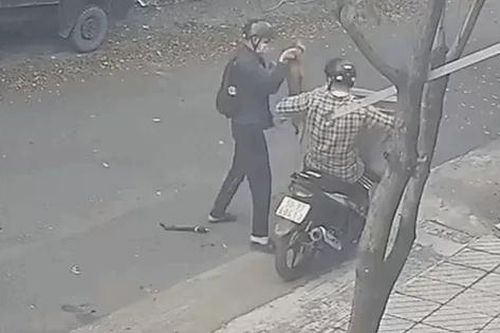 Khởi tố 2 tên trộm chó ở TPHCM bị tài xế ô tô tông ngã