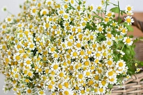 Tử vi Thứ Ba 31/10/2023 của 12 cung hoàng đạo
