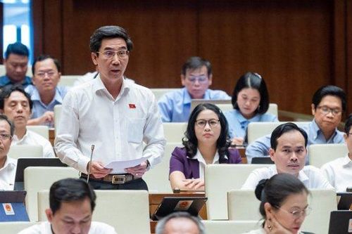 Đại biểu Quốc hội: Phục hồi kinh tế chưa đạt như kỳ vọng