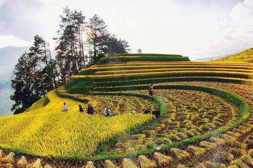 Ông Bí thư huyện và những chuyện lạ ở Mù Cang Chải - Bài 2: Giữ được bản sắc chính là phát triển