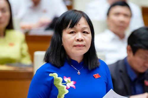 Tranh luận về nhiệm vụ làm sách giáo khoa của Bộ GD-ĐT