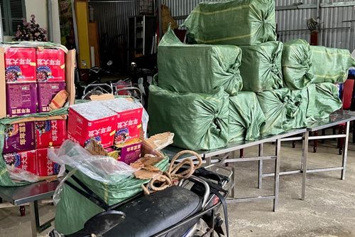 Bắt giữ 6 xe máy vận chuyển 352kg pháo hoa nổ qua biên giới
