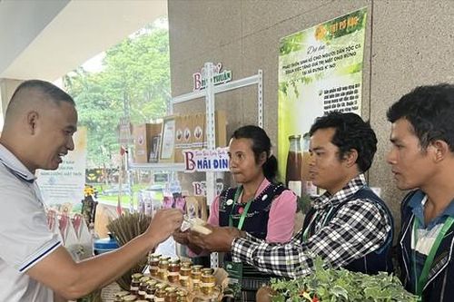 Chuyện khởi nghiệp của những người trẻ ở miền núi