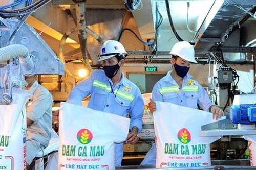 Doanh nghiệp phân bón 'bốc hơi' nghìn tỷ lợi nhuận
