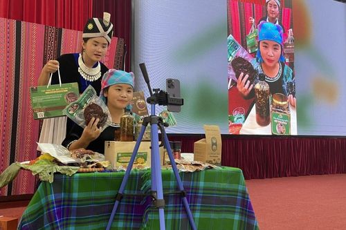 Ứng dụng công nghệ thông tin, livestream bán nông sản