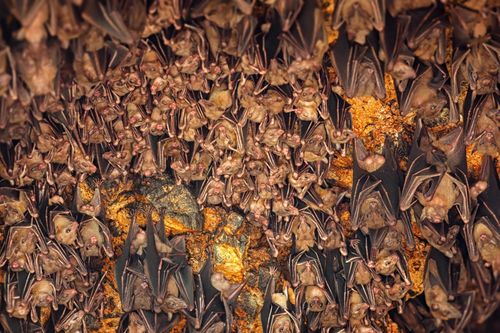 Không khí 'kinh dị' ở 5 điểm đến Halloween đáng sợ bậc nhất châu Á