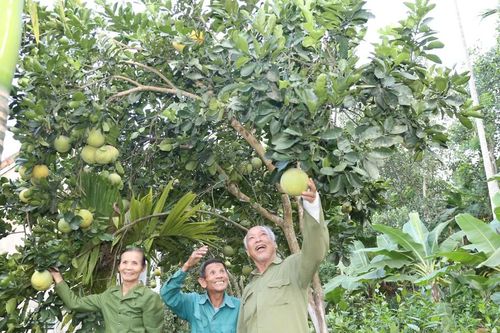 Sức sống mới ở Truông Bồn