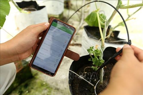 Động lực tăng trưởng mới từ kinh tế số - Bài 2: Thúc đẩy kinh tế số nông nghiệp, nông thôn