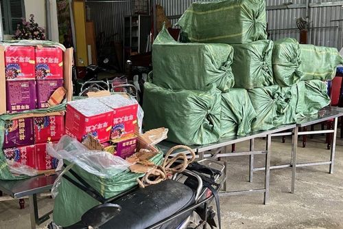Truy bắt nhóm vận chuyển hơn 350kg pháo nổ