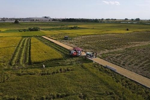 Gỡ điểm nghẽn đầu tư nông nghiệp miền Tây