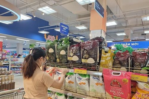 TP. Hồ Chí Minh: Giá gạo giảm mạnh tại nhiều siêu thị