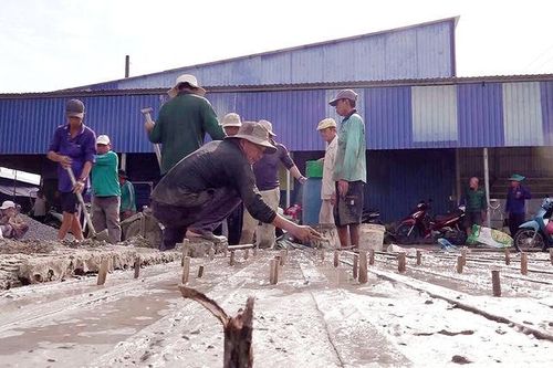 'Mười lăm năm ấy biết bao nhiêu tình'